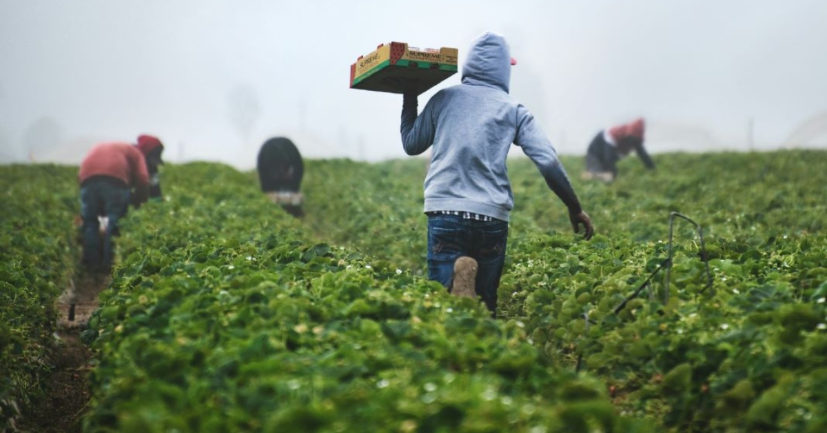 Can Africa Scale At Speed While Retaining Control?
