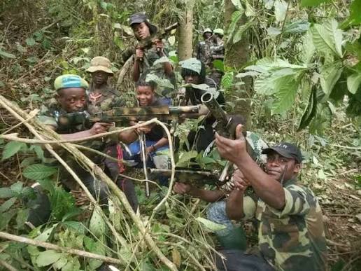 One Killed in Cameroon Bar Shooting