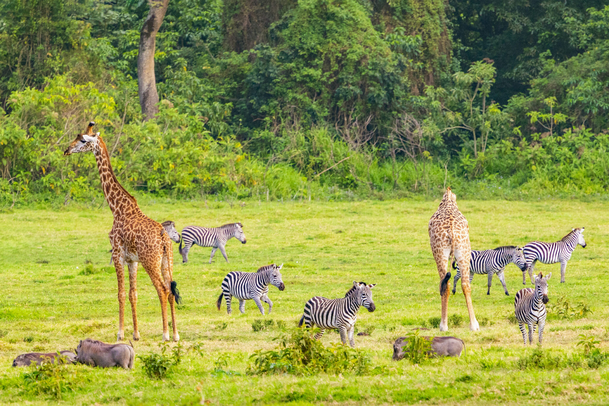 5 Reasons to Visit Arusha National Park in Tanzania