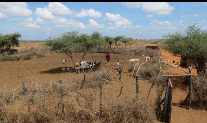 For communities living alongside wildlife, conservation is not an abstract environmental issue. It is closely connected to land, livelihoods, livestock and everyday life.