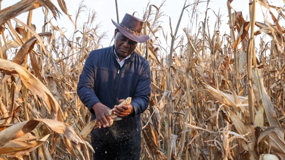 Zambian President Hakainde Hichilema praises farmers after recording 5 million tonne maize bumper harvest.
