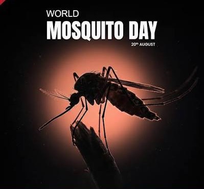 Seek medical help if symptoms appear. 
Community Matters: Clean-ups & local campaigns help fight mosquito-borne diseases.
