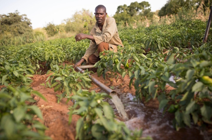 Early preparation—from better water management to climate-resilient crops—can help communities reduce the damage caused by drought and extreme rainfall.