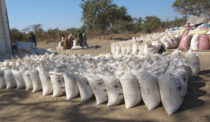 When harvests fall, the effects can reach markets quickly, pushing up the cost of maize and other staple foods.