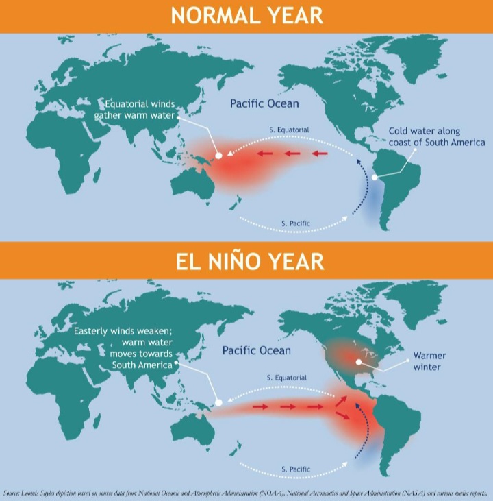 El Niño begins with unusually warm surface waters in the tropical Pacific, disrupting atmospheric circulation and influencing weather patterns around the world.