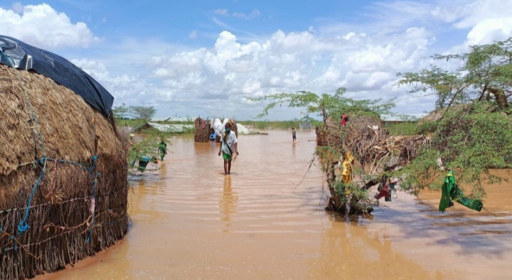 In parts of East Africa, El Niño can bring unusually heavy rainfall, causing floods that damage homes, roads, farms and businesses.