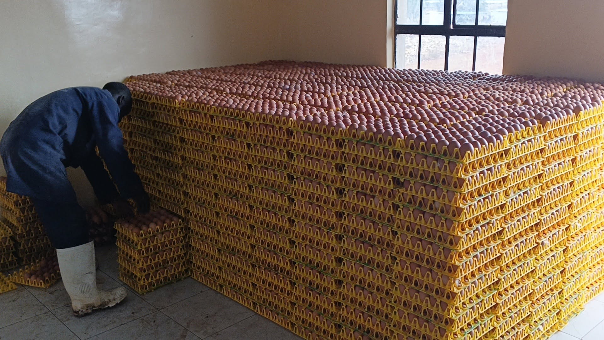 The egg is changing. Can Africa capture what comes next?
