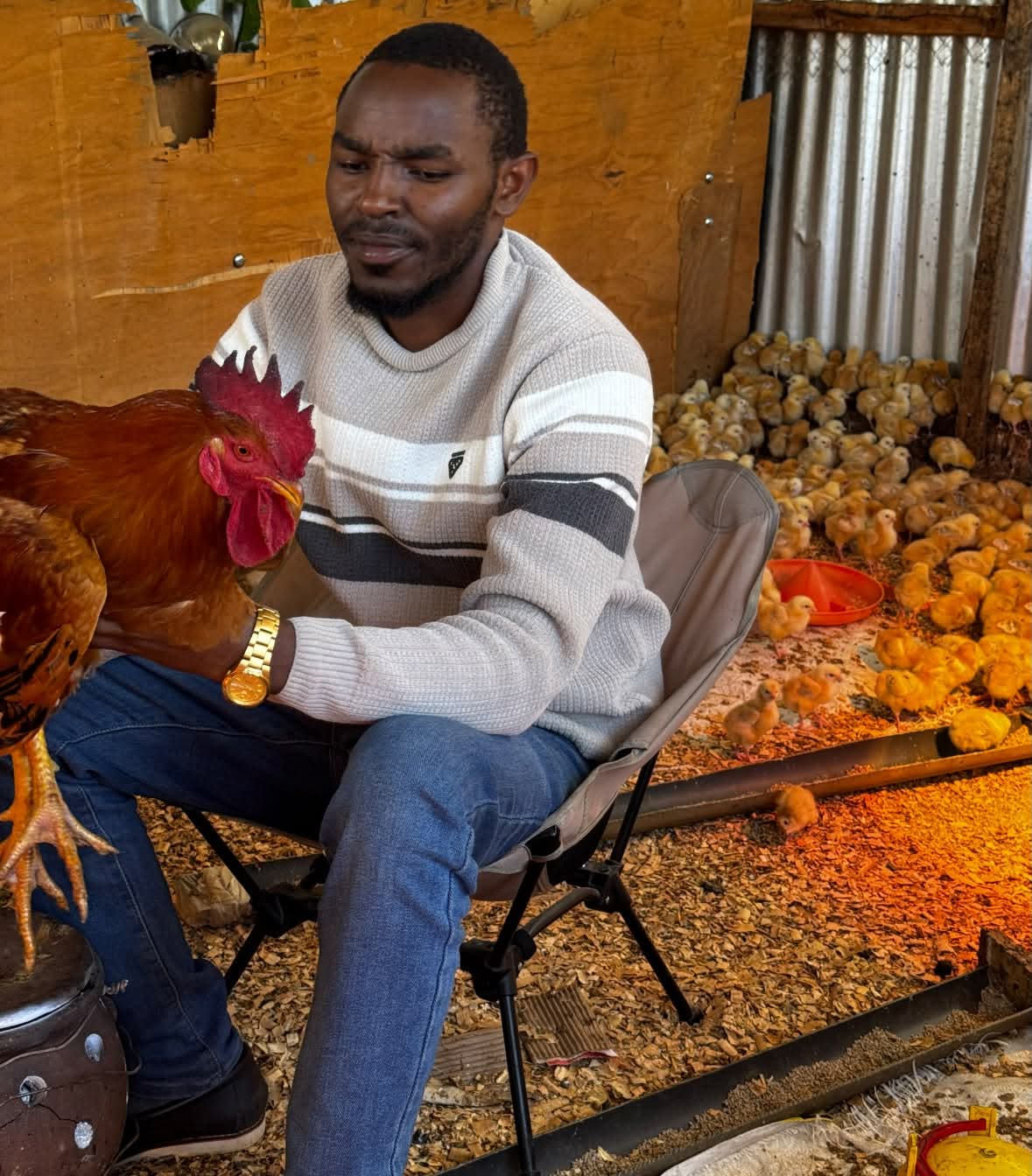 Mr. Lincoln shows that poultry farming can solve youth joblessness in Kenya. Young people can make fast money or steady cash by choosing the right type of chicken and growing their business into a bigger chain.