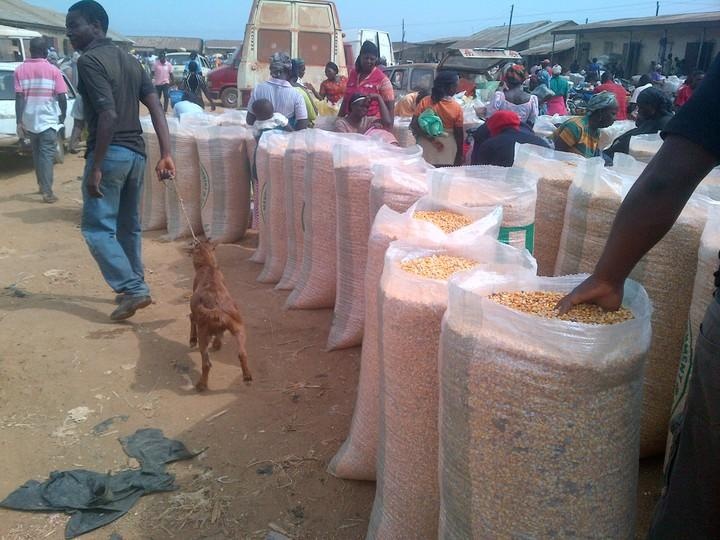 Changes in maize supplies can affect traders, consumers and food prices across African markets.