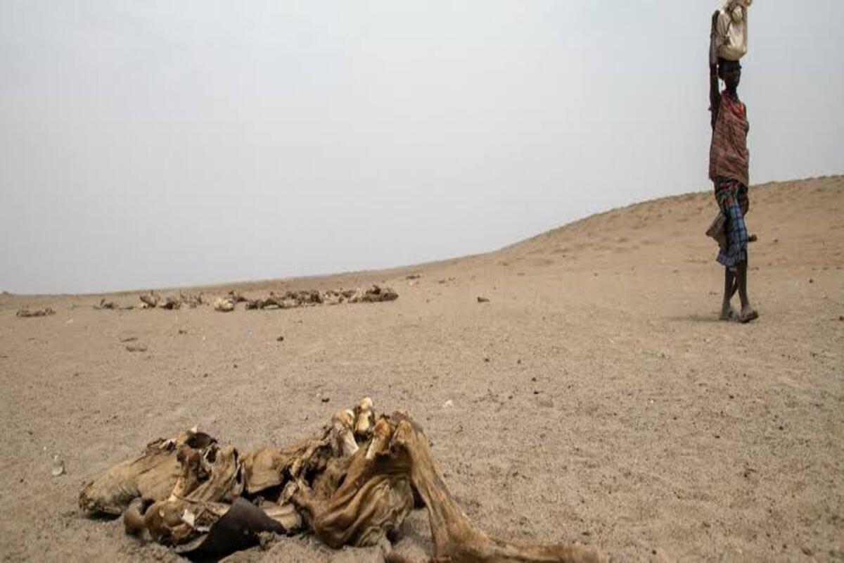 Africa’s Climate Crisis  And Why The Continent Can No Longer Afford To Wait