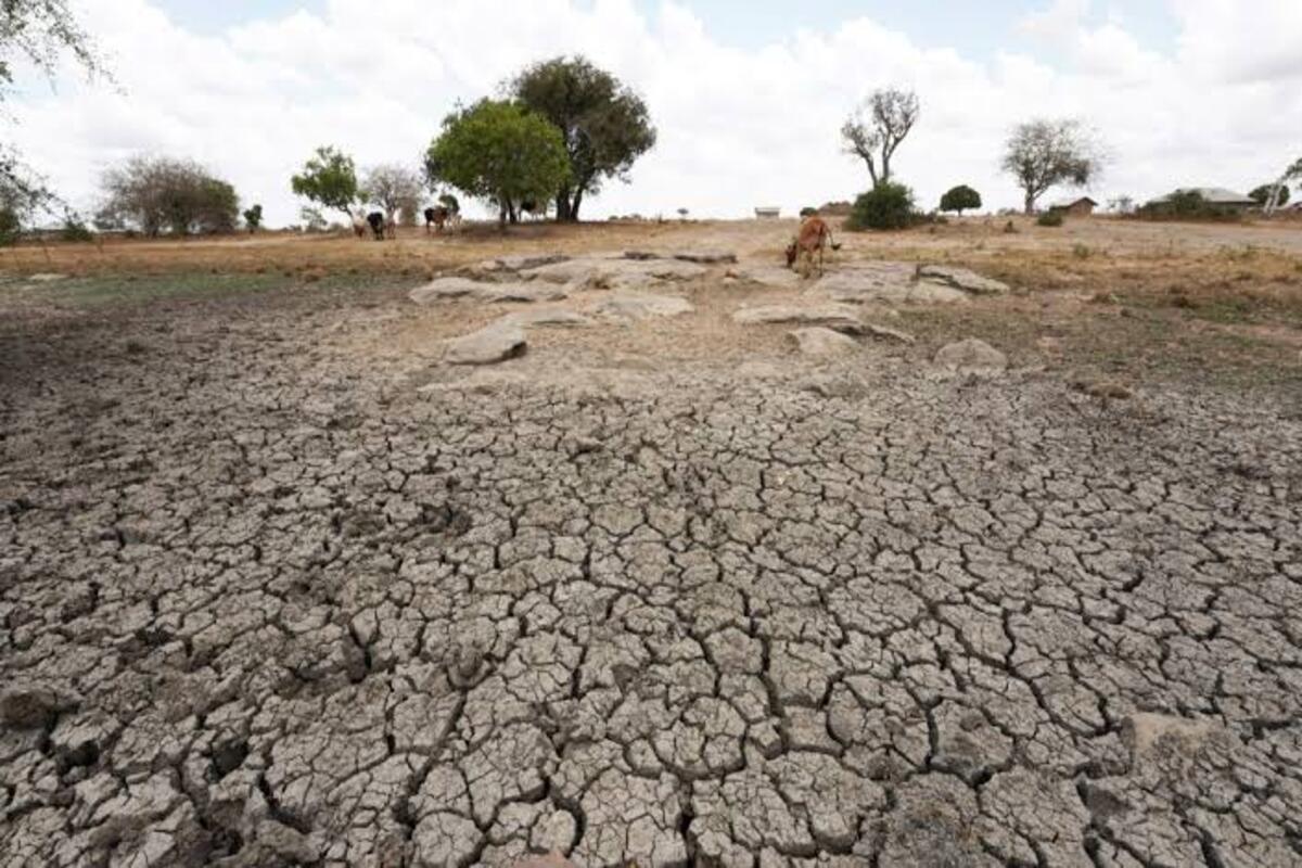 In the wider Horn of Africa Communities that have lost livestock during prolonged droughts have faced the additional challenge of rebuilding their livelihoods when heavy rains return.