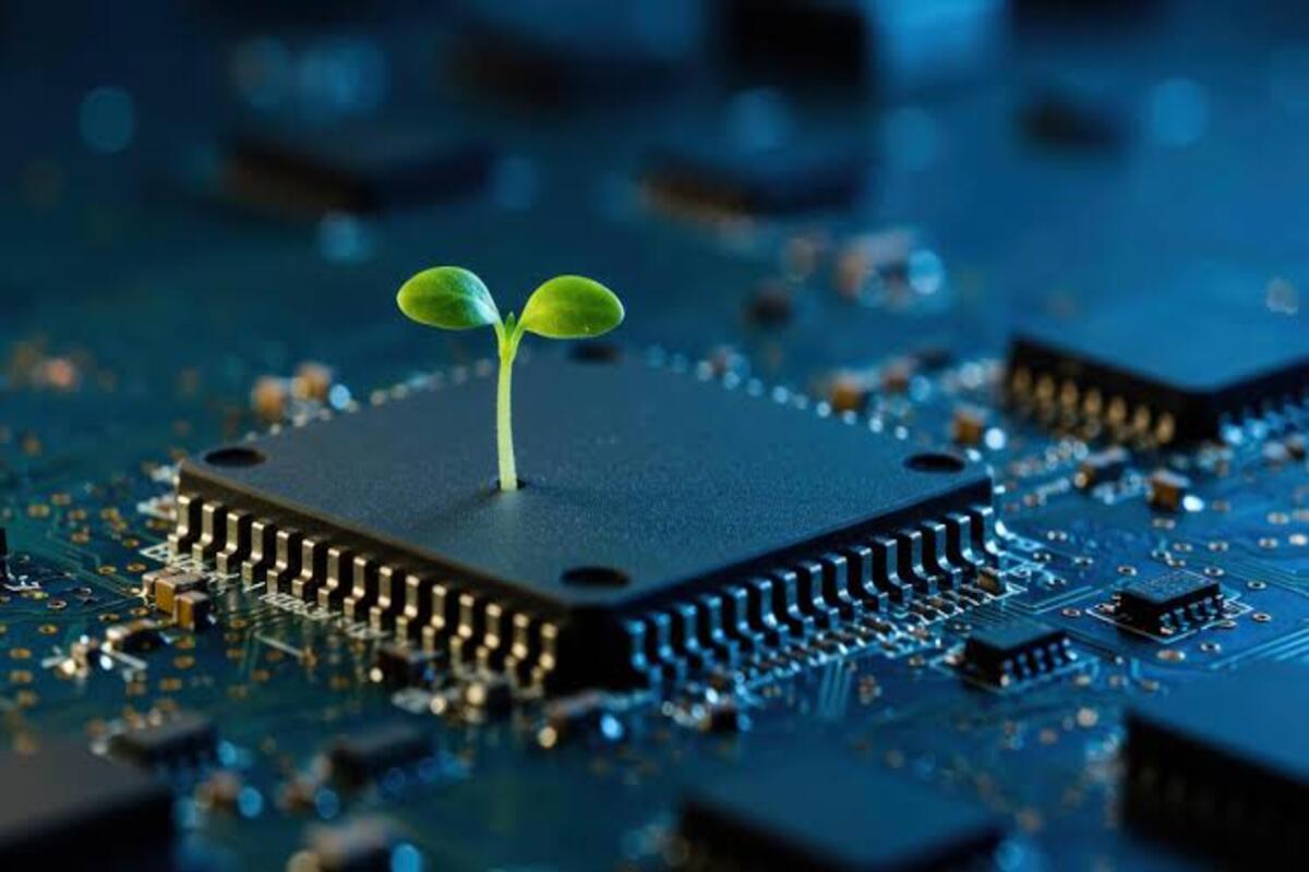 The next generation of African digital workers is therefore competing not only with professionals from around the world, but also with increasingly capable technologies.
