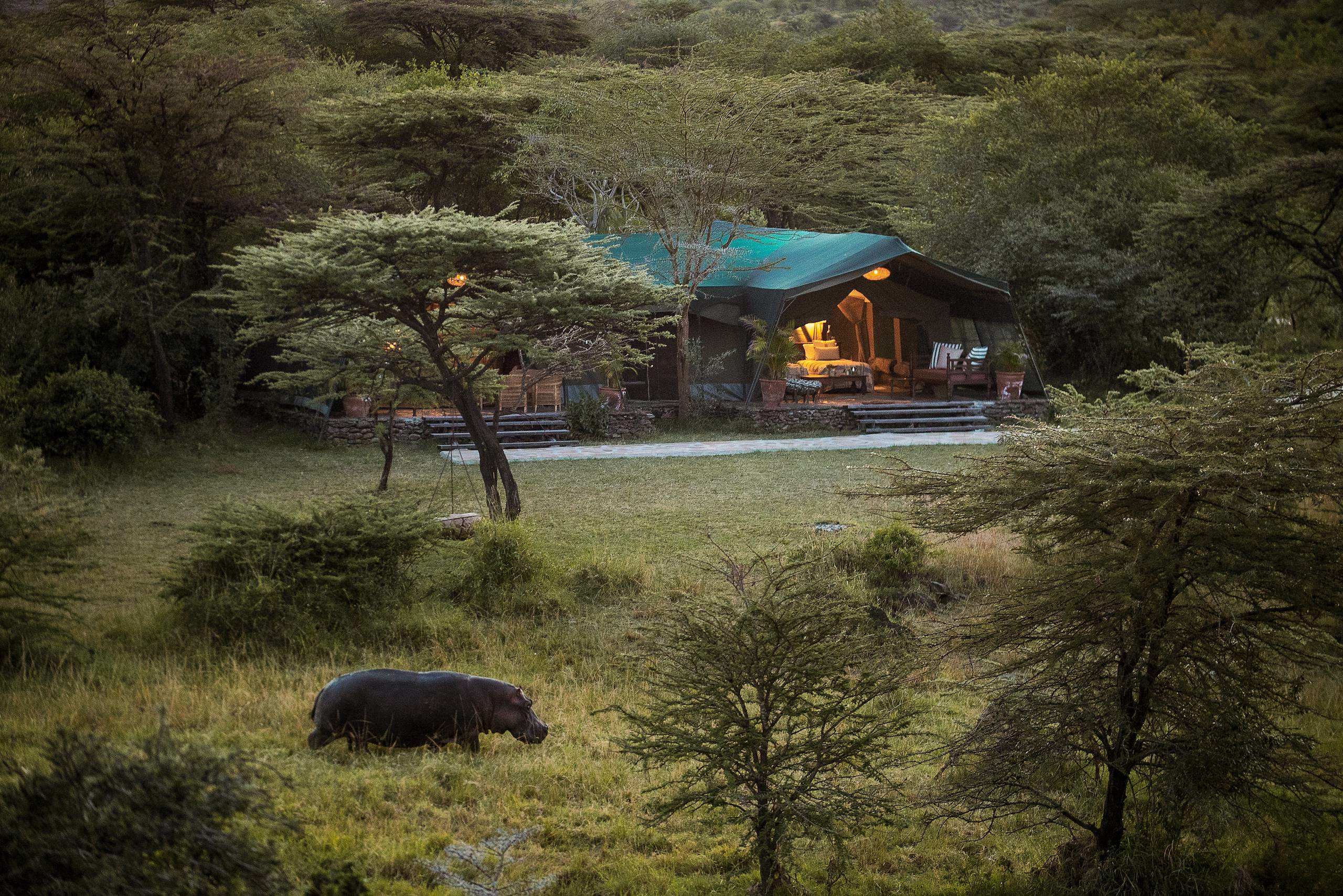 Hemingways Collection Scales Sustainable Tourism and Heritage Renovation at River Camp Mara