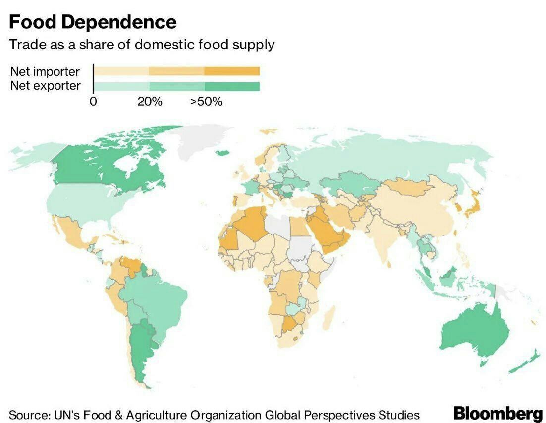 Africa Has 60% of the World’s Arable Land. So Why Does It Import So Much Food?
