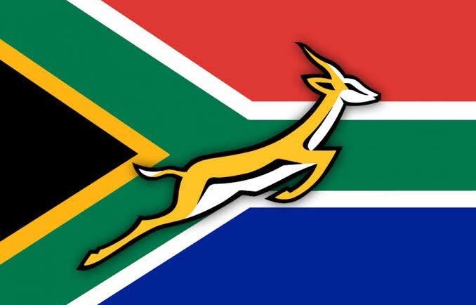 The Springboks Are South Africa’s Sporting Brand Par Excellence