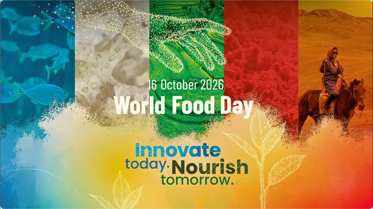 World Food Day | Towards A Hunger Free World