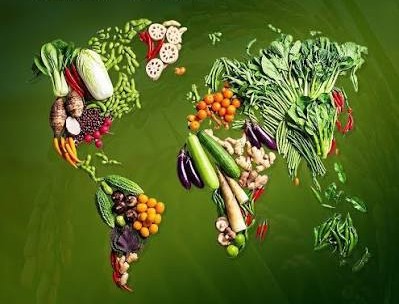World Food Day 2026 is calling for innovation to transform agrifood systems and end hunger. 